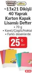 STUDİ 13X21 DİKİŞLİ 40 YAPRAK KARTON KAPAK LİSANSLI DEFTER 70 G